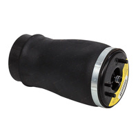 Airbag Man Air Spring Rear Right for BMW X5 E53 99-06 37121095580