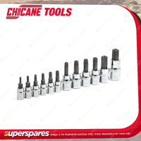 12 Pcs of Chicane Tamper Proof Torx Bits Socket Set - Chrome Vanadium Steel
