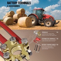 Projecta Premium Battery Terminal Positive + Negative Forged Brass Bolt Blister