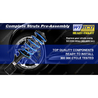 Low Webco Pro complete struts Shock Spring for HOLDEN COMMODORE VR VS SEDAN v6