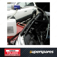 1 piece of Toledo Transfer Pump For AdBlue - Lubrication Tool 550ml
