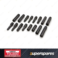 Toledo Wheel Lock Socket & Bit Master Set - Dual Hex Drive Fits 21mm/22mm