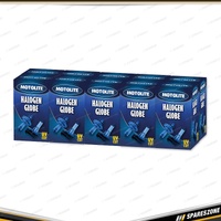 2 x Motolite 12V 35W 5000K H8 Halogen Headlight Globes - Replacement Bulb