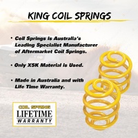 Rear Titan 4X4 HD Shocks Lowered King Springs for Holden Commodore VG VR VS