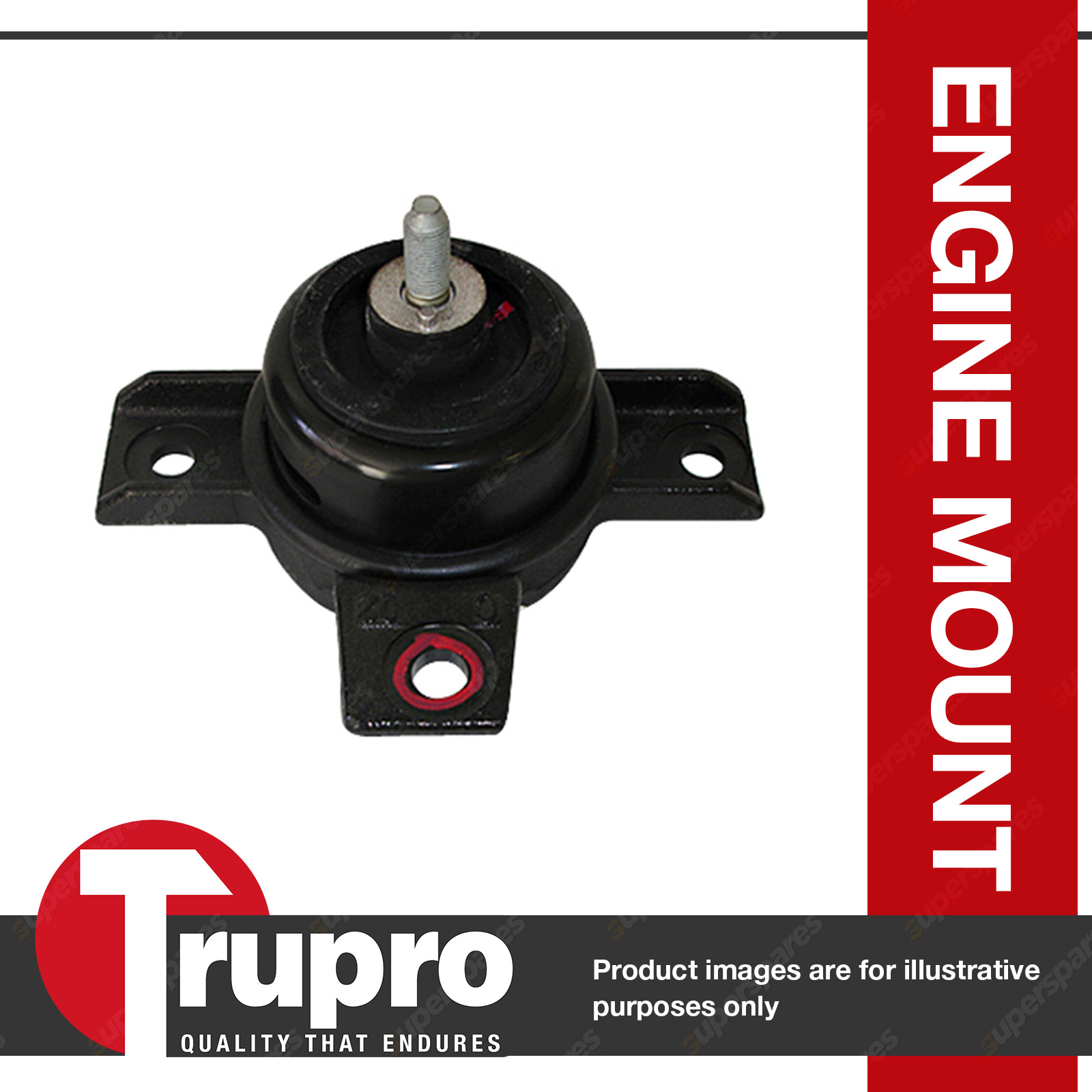 RH Engine Mount for HYUNDAI Santa Fe CM 2.2L Diesel 11/068/12 Auto/Manual TruPro