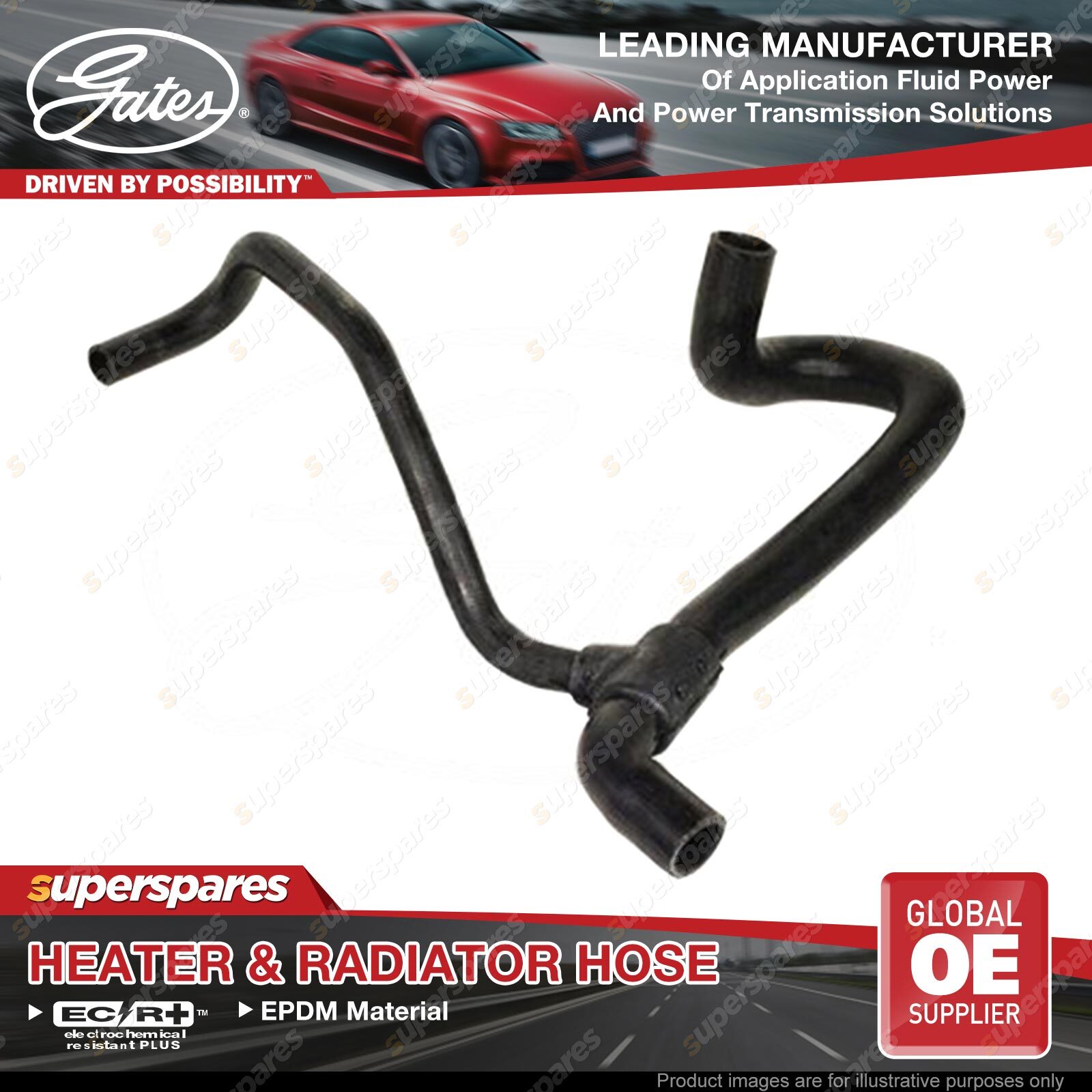 Gates Lower Radiator Hose for Renault Scenic Phase I 1.6L 79kW 99-03 ...