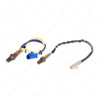 2 x Genuine Bosch Oxygen Lambda Sensors for Ford Focus LW 1.6L 92KW 11-14