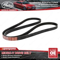 Accessory Drive Belt for Renault Clio BB Kangoo Megane EA Scenic JA