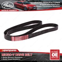 Gates Alternator Micro-V Drive Belt for Honda Accord CL7 CL9 CM1 Civic EV1 2.0L