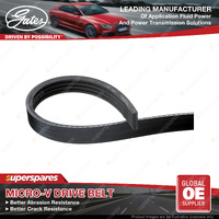 Gates Alternator Micro-V Drive Belt for Ford Focus BK C5 DYK DYM LW 2.0L 125KW