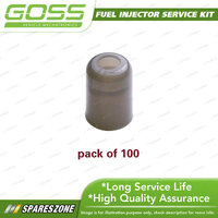 Goss Fuel Injector Service / Repair Kit - Pintle Cap Toy Large Hole Pack