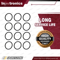 Goss Fuel Injector Service / Repair Kit - Injector Seal Pack 12 ID 17.9mm