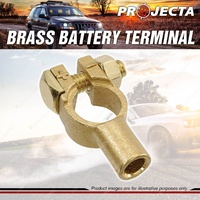 Projecta Brass Battery Terminal Universal - Crimp End Entry Blister of 1