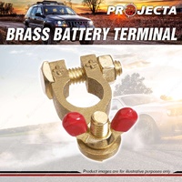 Projecta 5/16" 8mm Brass Batttery Terminal Positive - Wingnut Blister of 1