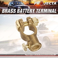 Projecta Brass Battery Terminal Universal - End Entry Blister of 1