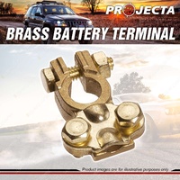 Projecta Brass Battery Terminal Negative for Small Japanese Battery