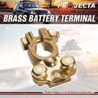 Projecta Brass Battery Terminal Positive for Small Japanese Battery