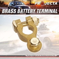 Projecta 5/16" 8mm Brass Battery Terminal Negative - Bolt Blister of 1