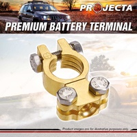 Projecta Premium Battery Terminal Positive - Forged Brass Saddle Blister of 1