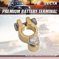 Projecta Premium Battery Terminal Negative - Forged Brass Bolt Blister of 1