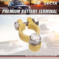 Projecta Premium Battery Terminal Positive - Forged Brass Bolt Blister of 1