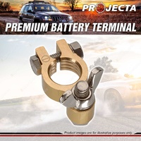 Projecta Forged 5/16" 8mm Brass Wingnut Battery Terminal Negative Blister of 1