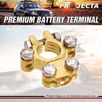 Projecta Battery Terminal Negative Forged Brass Saddle with Dual Auxiliary