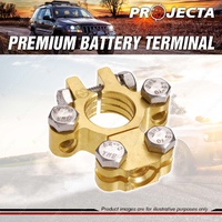 Projecta Battery Terminal Positive Forged Brass Saddle with Dual Auxiliary