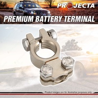 Projecta Premium Battery Terminal Negative - Satin Forged Brass Saddle