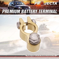 Projecta Forged Brass Heavy Duty Bolt Brass Terminal - Positive Premium Quality