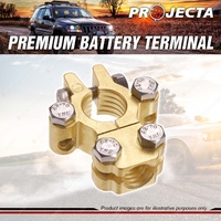Projecta Forged Brass H D Negative Battery Terminal Saddle with Dual Auxiliary