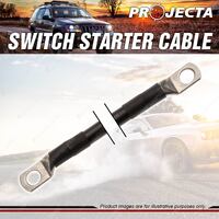 Projecta Switch Starter 300mm Length Cable 3 B & S 25mm X 25mm Premium Quality