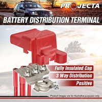 Projecta Brand Battery Distribution Terminal Positive Premium Quality