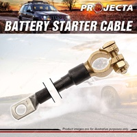 Projecta Battery Starter 300mm Length Cable 3 B & S 25mm X 25mm Premium Quality