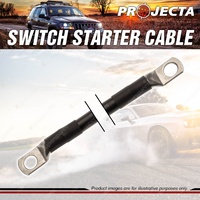 Projecta Switch Starter 760mm Length Cable 2 B & S 35mm X 35mm Blister Pack