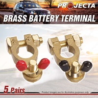 Projecta 5/16" 8mm Brass Batttery Terminal Wingnut 5 Pairs Positive and Negative
