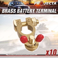 Projecta 5/16" 8mm Brass Batttery Terminal Positive - Wingnut Box of 10