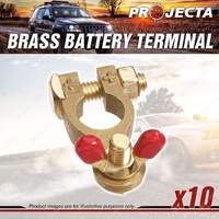 Projecta 5/16" 8mm Brass Batttery Terminal Positive - Wingnut Box of 10