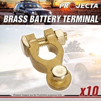 Projecta 5/16" 8mm Brass Battery Terminal Negative - Bolt Box of 10