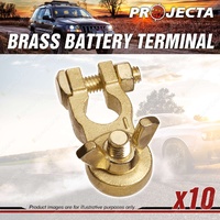 Projecta 3/8" 10mm Brass Battery Terminal Negative Heavy Duty Wingnut Box of 10