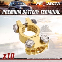 Projecta Premium Battery Terminal Positive - Forged Brass Saddle Box of 10