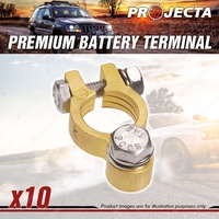 Projecta Premium Battery Terminal Positive - Forged Brass Bolt Premium Quality
