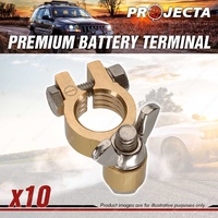 Projecta Forged 5/16" 8mm Brass Wingnut Battery Terminal Negative Box of 10