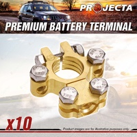 Projecta Positive Forged Brass Battery Terminal Saddle with Dual Auxiliary