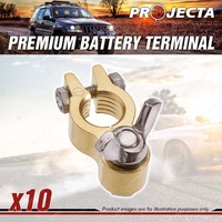 Projecta 3/8" 10mm Forged Brass HD Wingnut Battery Terminal Negative Pack 10