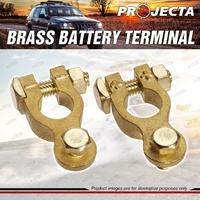 Projecta 5/16" 8mm Brass Battery Terminal Positive + Negative Bolt Blister