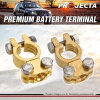 Projecta Premium Battery Terminal Positive + Negative Forged Brass Saddle