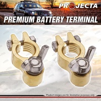 Projecta 3/8" 10mm Positive + Negative HD Wingnut Battery Terminal Forged Brass