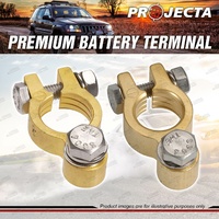 Projecta Premium Battery Terminal Positive + Negative Forged Brass Bolt Blister