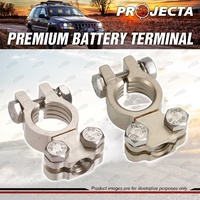 Projecta Premium Battery Terminal Positive + Negative Satin Forged Brass Saddle